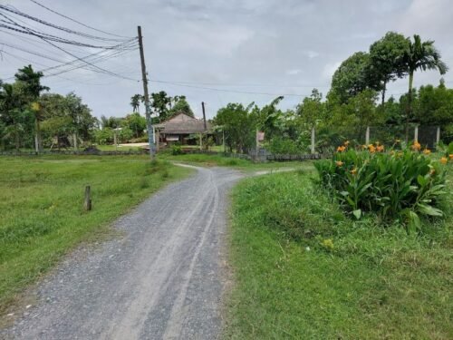 Đường đá xanh rộng 3,5m trước lô đất số 430 tại Mỹ Hạnh Bắc