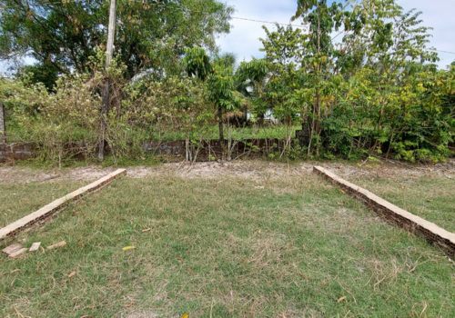 Tiềm Năng Đầu Tư Đất Nền Mỹ Hạnh và…