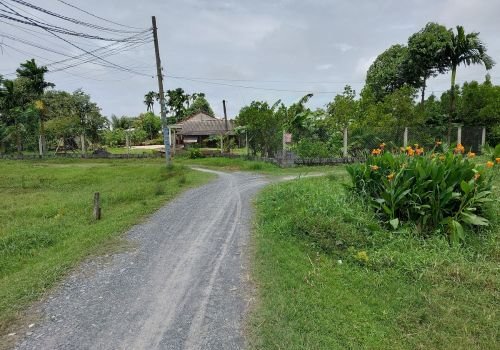 Đường trải đá 3.5m trước lô đất 430, kết nối linh hoạt khu dân cư