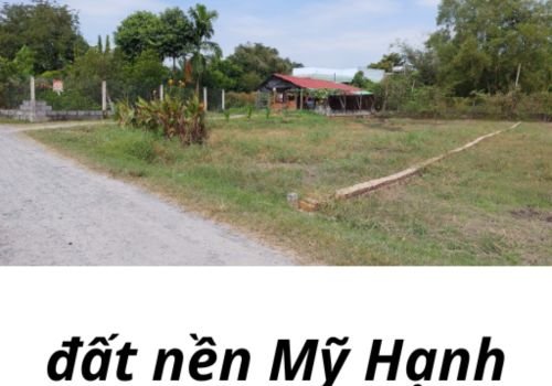 Đất nền khan hàng, giá tiếp tục tăng: Góc nhìn từ thị trường phía Nam